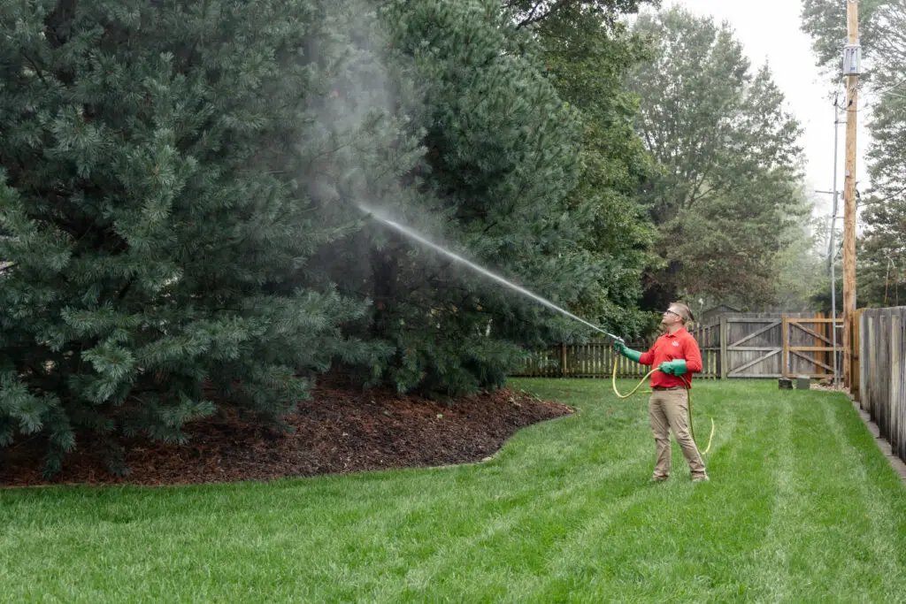 RYAN pro working spraying a tree
